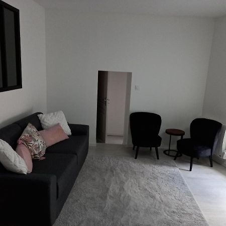 Tres Bel Appartement Condrieu Extérieur photo
