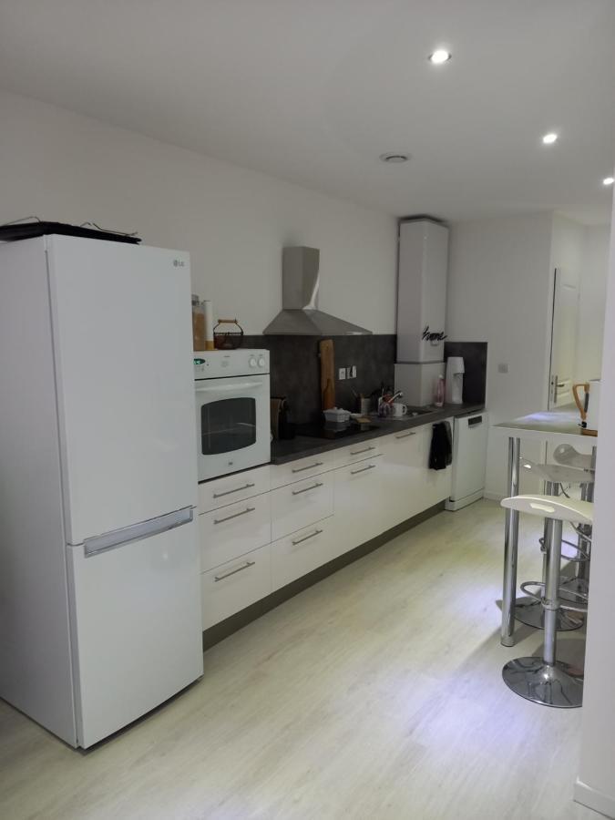 Tres Bel Appartement Condrieu Extérieur photo